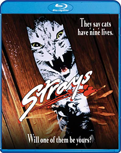 Strays [Blu-ray] von SHOUT! FACTORY