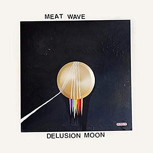 Delusion Moon [Vinyl LP] von SIDE ONE DUMMY