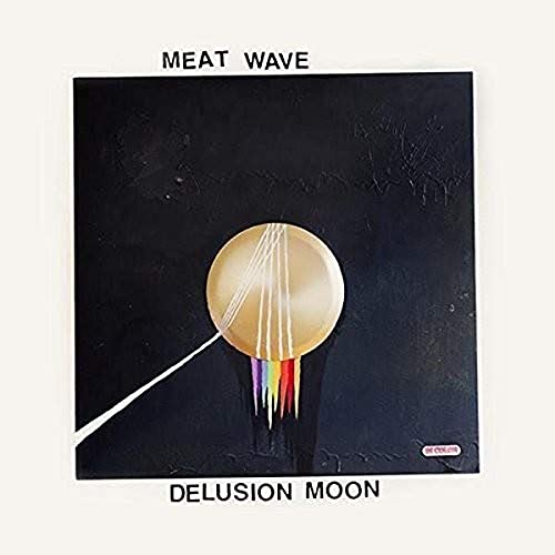 Delusion Moon [Vinyl LP] von UNIVERSAL MUSIC GROUP