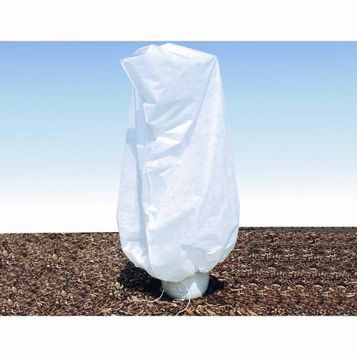 Siena Garden 75103GZ Kübelpflanzen-Sack 'XXL' á 2 Stück, 180 x 120cm 2St. Siena Garden 75103GZ Kübelpflanzen-Sack 'XXL' á 2 Stück, 180 x 120cm 2St. von SIENA GARDEN