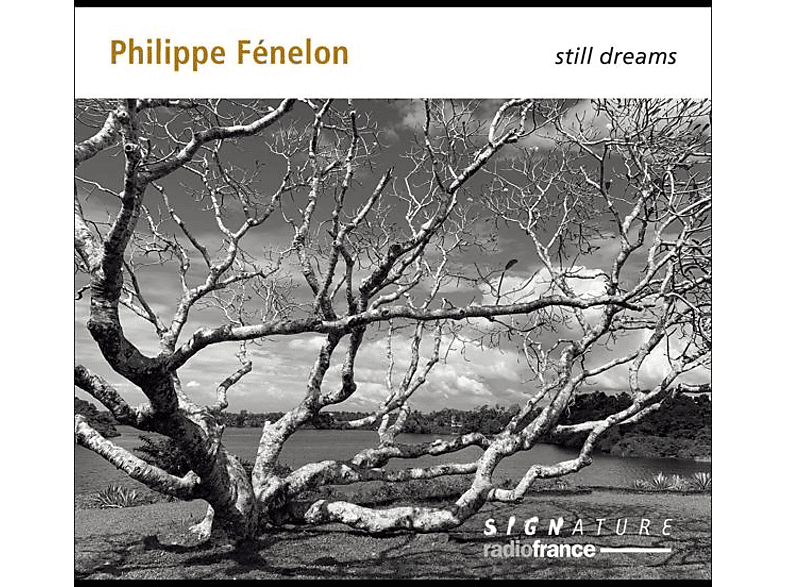 Jodelet,Florent/Benetti,Didier/Quatuor Diotima - Philippe Fénelon: Still Dreams (CD) von SIGNATURE