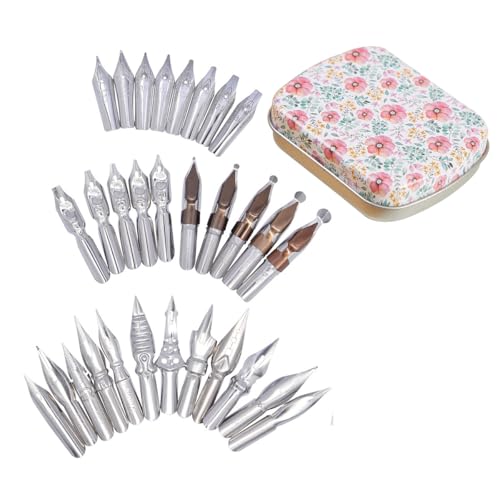 SIPLIV 30 Stück Edelstahl Comic Stift Feder Kalligraphie Stift Federn Dip Pens Nibs Set Manga Federn Füllfederhalter Federn Ersatz mit Stahl Aufbewahrungsbox (Chrysanthemum) von SIPLIV