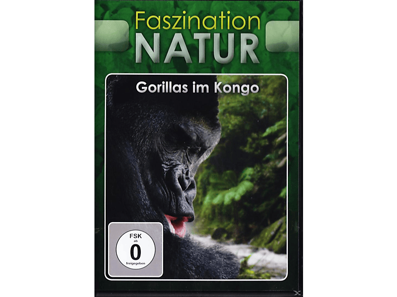 Faszination Natur - Gorillas im Kongo DVD von SJ ENTERTA