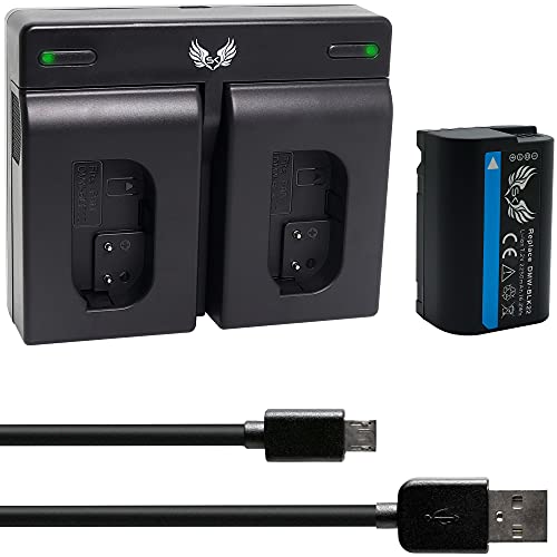 SK Akku Ersatz für Panasonic DMW-BLK22 |- 2250mAh -| DMW-BLK22E + Dual Charger für Lumix DC - G9 GH5 GH5 II GH5S GH6 S5 S5K DC-S5 DC-GH5 DC-GH6 von SK Games