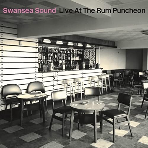 Live at the Rum Puncheon [Vinyl LP] von SKEP WAX RECORDS