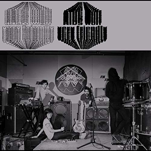 Very Friendly Very Friendly von SKiN GRAFT Records