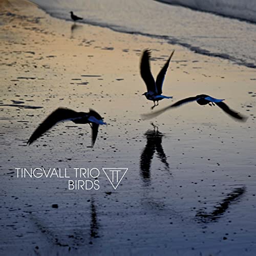 Birds (180 Gr.Black Vinyl) [Vinyl LP] von SKIP