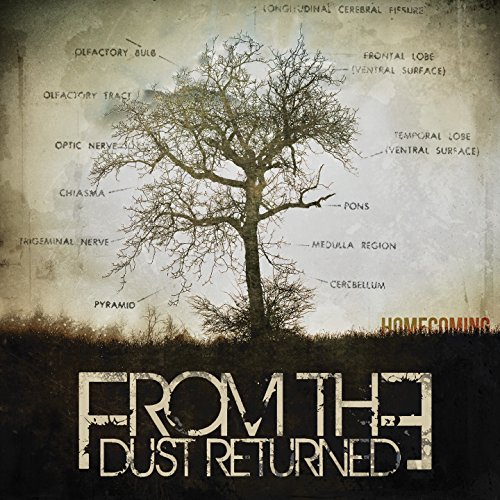 From The Dust Returned - Homecoming von SLIPTRICK RECORDS