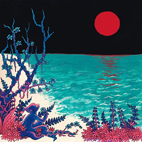 The First Glass Beach Album (Clear Vinyl) [Vinyl LP] von SLOWJOY