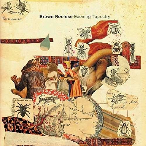 Evening Tapestry [Vinyl LP] von SLUMBERLAND