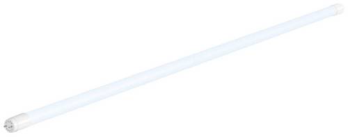 SLV LED-Röhre EEK: E (A - G) G13 T8 16W Kaltweiß (Ø x H) 28mm x 1210mm von SLV