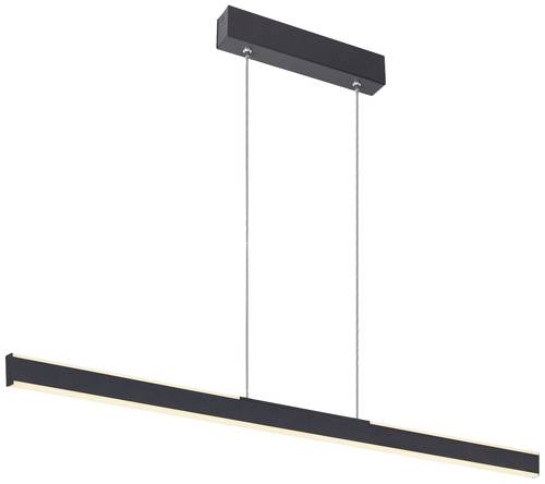 SLV ONE LINEAR 100 1006185 LED-Pendelleuchte LED fest eingebaut 24W Schwarz von SLV