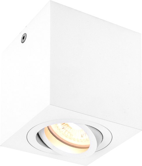 SLV TRILEDO, Indoor Deckenaufbauleuchte, QPAR51, weiß, max 10W - Wand- und Deckenleuchten SLV TRILEDO, Indoor Deckenaufbauleuchte, QPAR51, weiß, max 10W - Wand- und Deckenleuchten von SLV
