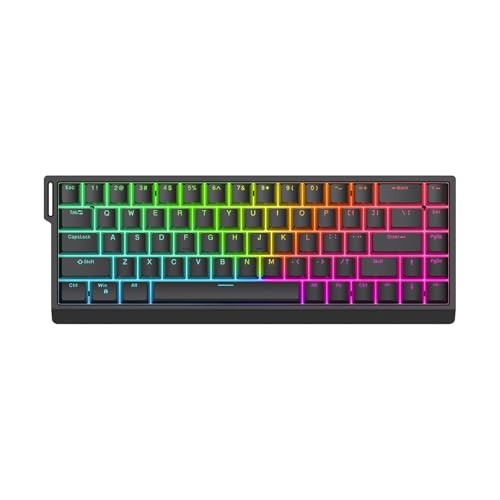 SLXLYH HE65 Mechanische Tastatur, Spiel-PC-Tastaturen mit Magnetschaltern für Gamer und Programmierer (blau) von SLXLYH