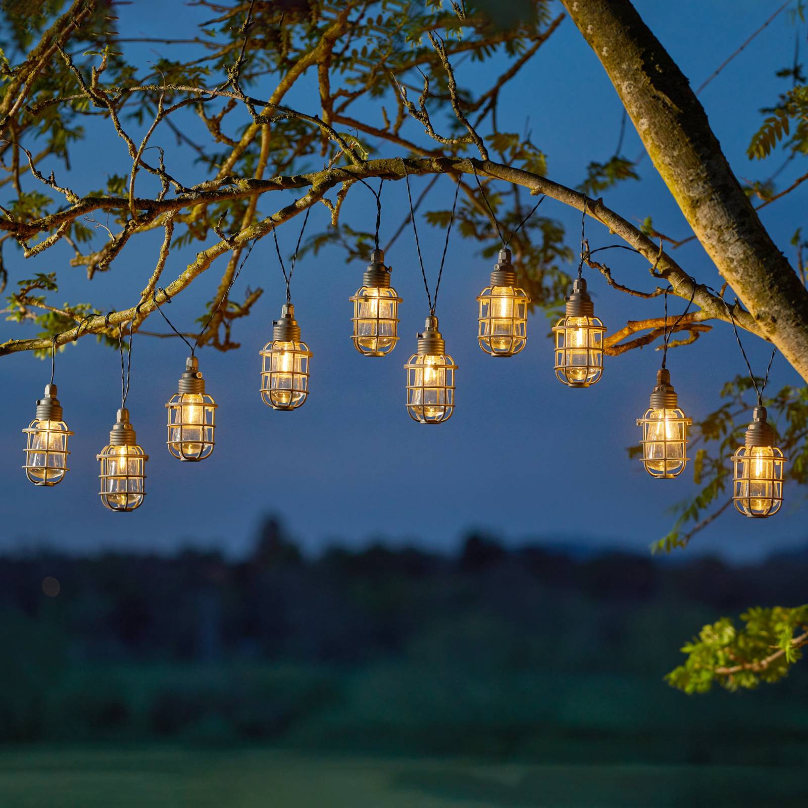 LED-Solar-Lichterkette Anglia 365, 10-flammig LED-Solar-Lichterkette Anglia 365, 10-flammig von SMART GARDEN