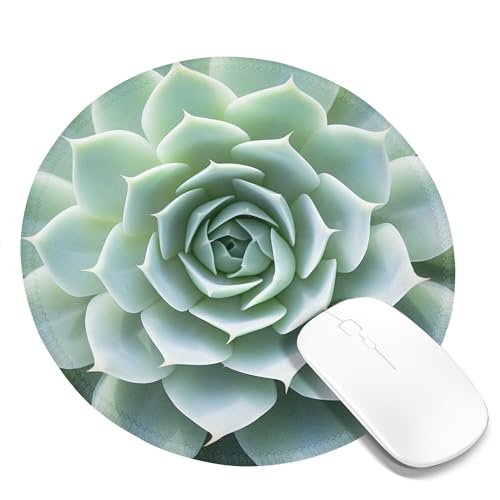 Mauspad mit Sukkulenten-Motiv, große florale tropische Pflanzen, modernes Mandala-Design, Jadegrün, Polyester-Gummi, wasserdicht, dekorativ, für Unternehmen, Bibliothek, Büro, Schreibtisch, genäht, ru Mauspad mit Sukkulenten-Motiv, große florale tropische Pflanzen, modernes Mandala-Design, Jadegrün, Polyester-Gummi, wasserdicht, dekorativ, für Unternehmen, Bibliothek, Büro, Schreibtisch, genäht, ru von SMAZDFXX
