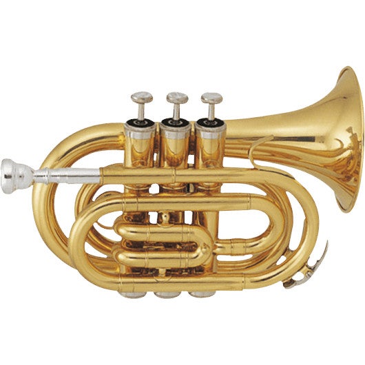 SML Paris TP50 Pocket Bb Trumpet with Soft Case SML Paris TP50 Pocket Bb Trumpet with Soft Case von SML Paris