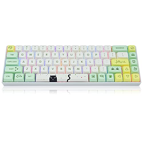 SOLIDEE 135 Tasten XDA Keycaps PBT Nette Gaming Keycaps Set Japanische Anime Keycaps Dye-Sub ANSI ISO Layout für Cherry MX Tastatur (Strange cat) von SOLIDEE