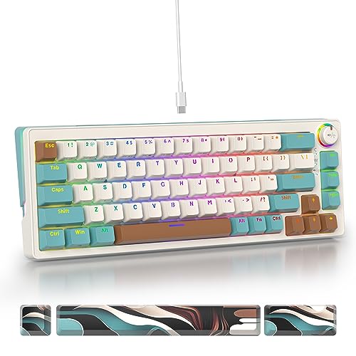 SOLIDEE 65% mechanische Gaming-Tastatur,hot-swap-fähige Tastatur mit Rosa Schalter,RGB-Hintergrundbeleuchtung,68 Tasten Tastatur,PBT Kompakt NKRO Keyboard mit Lautstärkeregler(68 Brown) von SOLIDEE