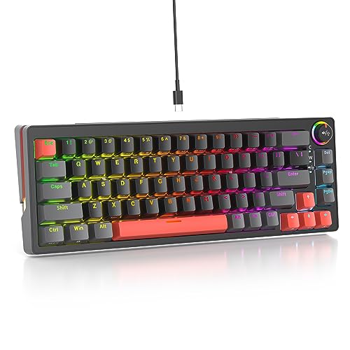 SOLIDEE 65% mechanische Gaming-Tastatur,hot-swap-fähige Tastatur mit Rosa Schalter,RGB-Hintergrundbeleuchtung,68 Tasten Tastatur,PBT Kompakt NKRO Keyboard mit Lautstärkeregler(68 Orange) von SOLIDEE
