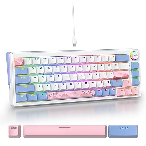 SOLIDEE 65% mechanische Gaming-Tastatur,hot-swap-fähige Tastatur mit Rosa Schalter,RGB-Hintergrundbeleuchtung,68 Tasten Tastatur,PBT Kompakt NKRO Keyboard mit Lautstärkeregler(68 Pink) von SOLIDEE