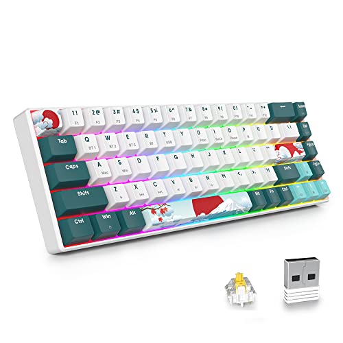 SOLIDEE 68 Tasten Mechanische Gaming Tastatur mit Gateron Gelbe Schalter,Bluetooth 5.0/2.4GHz/kabelgebundene 3 Modus Tastatur,65% RGB Hintergrundbeleuchtung,Hot Swappable NKRO(68 Forest) von SOLIDEE