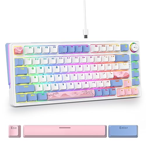 SOLIDEE 75% mechanische Gaming-Tastatur,hot-swap-fähige Tastatur mit Rosa Schalter,RGB-Hintergrundbeleuchtung,83 Tasten Tastatur,PBT Kompakt NKRO Keyboard mit Lautstärkeregler(83 Pink) von SOLIDEE
