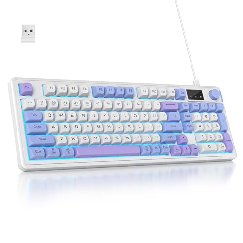 SOLIDEE 96% membran Tastatur kabellos mit Drehknopf,Kabelgebunden/Bluetooth 5.0/2.4GHz Gasket Mount Tastatur&RGB Hintergrundbeleuchtung,98 Tasten mit mechanischem Gefühl und geräuschlos(Sea Salt) von SOLIDEE