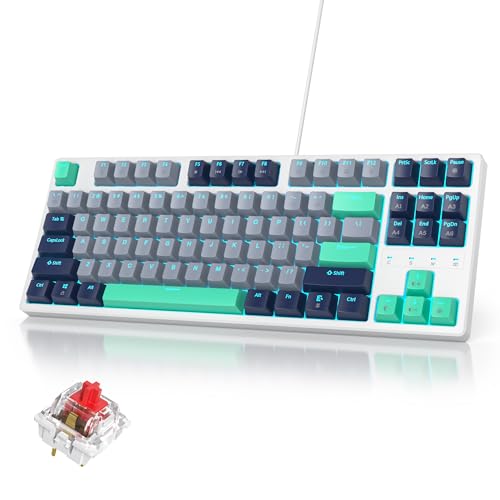 SOLIDEE Tragbare 80% mechanische Gaming-Tastatur,87 Tasten kompakte RGB LED-Hintergrundbeleuchtung,kabelgebundene Tastatur mit USB Kabel,mit linearem roten Schalter(87 Hammerhead Shark) von SOLIDEE