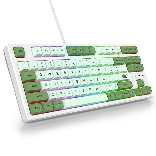 SOLIDEE Tragbare 80% mechanische Gaming-Tastatur,87 Tasten kompakte RGB LED-Hintergrundbeleuchtung,kabelgebundene Tastatur mit USB Kabel,mit linearem roten Schalter für Windows PC(87 Matcha) von SOLIDEE