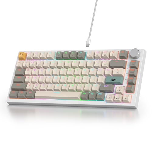 SOLIDEE Verkabelte Mechanische Gaming Tastatur 75 Prozent,hot-swap-fähige Mechanische Tastatur mit Gasket Struktur,RGB Hintergrundbeleuchtung,82 Tasten TKL Tastatur mit Drehknopf(82 Gray Beige) von SOLIDEE
