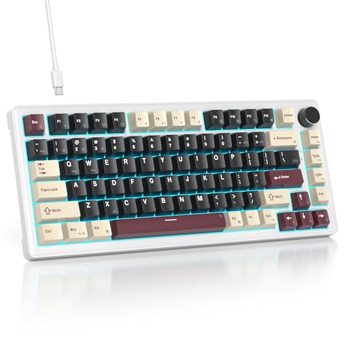 SOLIDEE Verkabelte Mechanische Gaming Tastatur 75 Prozent,hot-swap-fähige Mechanische Tastatur mit Gasket Struktur,RGB Hintergrundbeleuchtung,82 Tasten TKL Tastatur mit Drehknopf(82 Roman) von SOLIDEE