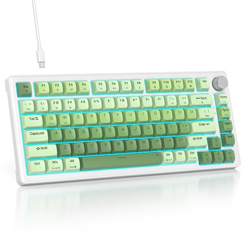 SOLIDEE Verkabelte Mechanische Gaming Tastatur 75 Prozent,hot-swap-fähige Mechanische Tastatur mit Gasket Struktur,RGB Hintergrundbeleuchtung,82 Tasten TKL Tastatur mit Drehknopf(82 Matcha Gradient) von SOLIDEE