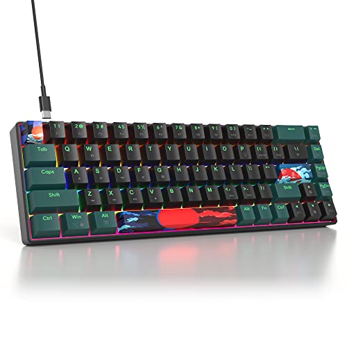 SOLIDEE mechanische Gaming Tastatur 65%,68 Tasten mit Lineare rote Schalter,kabelgebundene mechanische Tastatur mit LED-Hintergrundbeleuchtung,gemischtes Licht kompakte Tastatur(68 Black-Green) von SOLIDEE