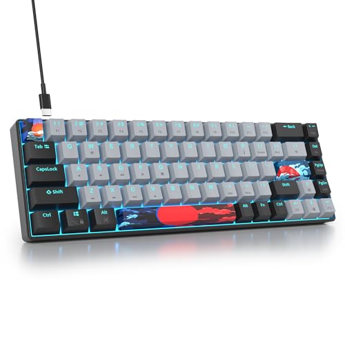 SOLIDEE mechanische Gaming Tastatur 65 Prozent,68 Tasten kompakte mechanische Tastatur RGB Hintergrundbeleuchtung,65 Prozent Tastatur mechanisch QWERTY,Roter Schalter für Win/Mac PC Laptop(68 Dolch) von SOLIDEE