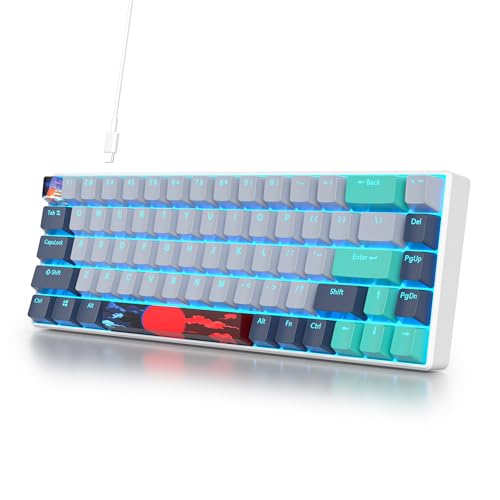 SOLIDEE mechanische Gaming Tastatur 65 Prozent,68 Tasten kompakte mechanische Tastatur RGB Hintergrundbeleuchtung,65 Prozent Tastatur mechanisch QWERTY,Roter Schalter für Win/Mac PC Laptop(68 Shark) von SOLIDEE