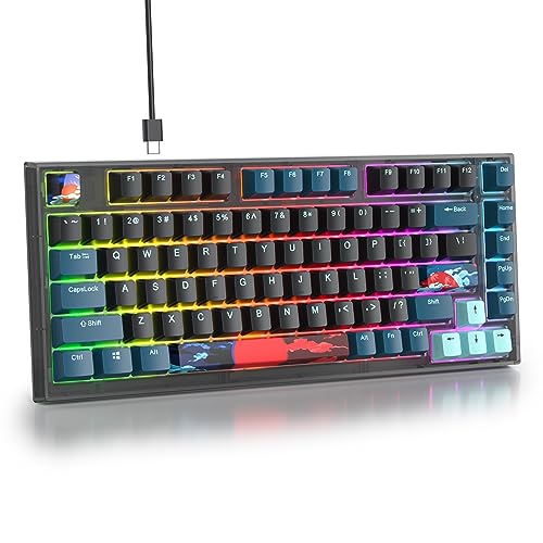 SOLIDEE Verkabelte Mechanische Gaming Tastatur 75%,Gasket hot-swap-fähige Tastatur mit weiße Schalter,RGB Hintergrundbeleuchtung,QWERTY 82 Tasten TKL Gaming Tastatur NKRO Tastatur(82 Monstor(B)) von SOLIDEE