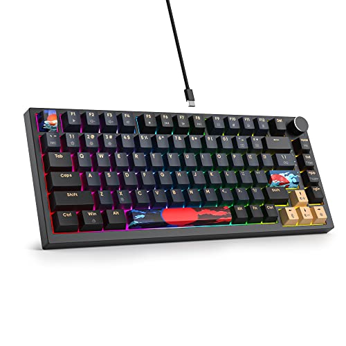 SOLIDEE verkabelte mechanische Gaming Tastatur 75%,hot-swap-fähige mechanische Tastatur Gasket,RGB Hintergrundbeleuchtung,QWERTY 82 Tasten Gaming Tastatur,NKRO Tastatur mit Drehknopf(82 Blue Samurai) von SOLIDEE