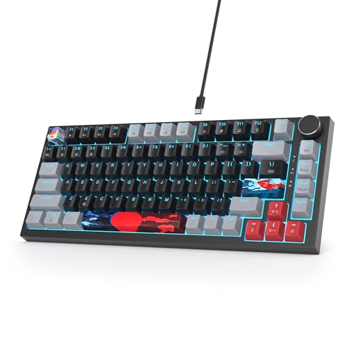 SOLIDEE mechanische Gaming Tastatur 75%,hot-swap-fähige mechanische Tastatur Gasket,RGB Hintergrundbeleuchtung,QWERTY 82 Tasten TKL Gaming Tastatur,NKRO Tastatur mit Drehknopf(82 Dark) von SOLIDEE