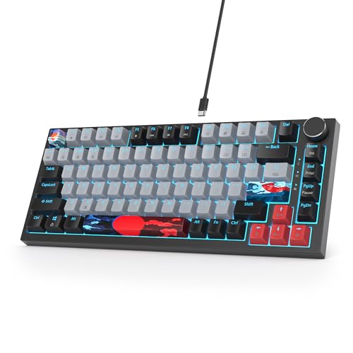 SOLIDEE mechanische gaming tastatur 75%,hot-swap-fähige mechanische tastatur Gasket,RGB Hintergrundbeleuchtung,QWERTY 82 Tasten TKL Gaming Tastatur,NKRO Tastatur mit Drehknopf(82 Dolch) von SOLIDEE