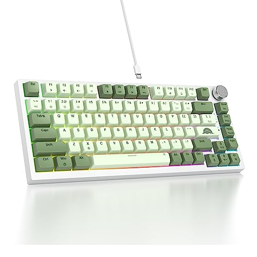 SOLIDEE Verkabelte Mechanische Gaming Tastatur 75%,hot-swap-fähige mechanische Tastatur Gasket,RGB Hintergrundbeleuchtung,QWERTY 82 Tasten TKL Gaming Tastatur,NKRO Tastatur mit Drehknopf(82 Matcha) von SOLIDEE