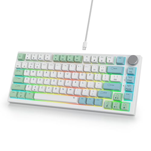 SOLIDEE mechanische Gaming Tastatur 75%,hot-swap-fähige mechanische Tastatur Gasket,RGB Hintergrundbeleuchtung,QWERTY 82 Tasten TKL Gaming Tastatur,NKRO Tastatur mit Drehknopf(82 Mint) von SOLIDEE