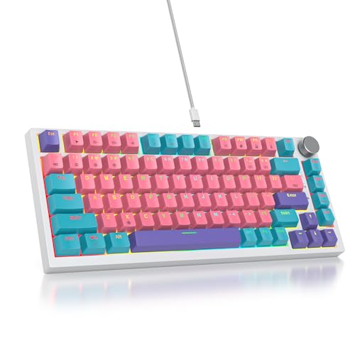 SOLIDEE Verkabelte Mechanische Gaming Tastatur 75%,hot-swap-fähige mechanische Tastatur Gasket Struktur,RGB Hintergrundbeleuchtung,QWERTY 82 Tasten TKL Gaming Tastatur mit Drehknopf(82 Pink) von SOLIDEE