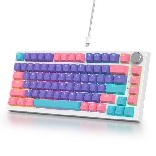 SOLIDEE Verkabelte Mechanische Gaming Tastatur 75%,hot-swap-fähige mechanische Tastatur Gasket,RGB Hintergrundbeleuchtung,QWERTY 82 Tasten TKL Gaming Tastatur,NKRO Tastatur mit Drehknopf(82 Purple) von SOLIDEE