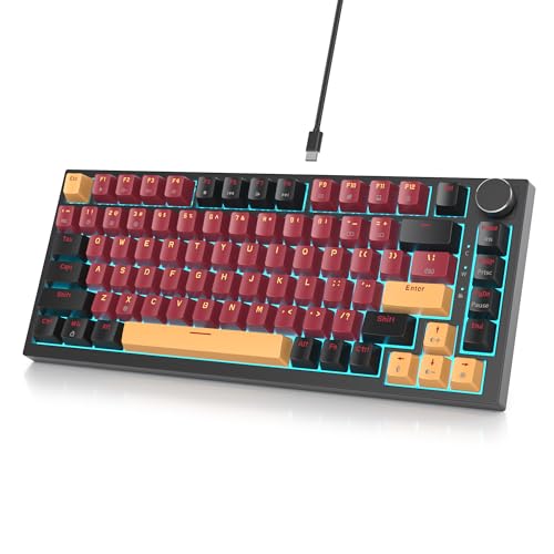 SOLIDEE mechanische Gaming Tastatur 75%,hot-swap-fähige mechanische Tastatur Gasket,RGB Hintergrundbeleuchtung,QWERTY 82 Tasten TKL Gaming Tastatur,NKRO Tastatur mit Drehknopf(82 Red Samurai) von SOLIDEE