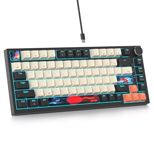 SOLIDEE Verkabelte 75% Mechanische Gaming-Tastatur,hot-swap-fähige Mechanische Tastatur mit Gasket Struktur,RGB-Hintergrundbeleuchtung,82 Tasten Kompakt TKL Tastatur mit Drehknopf(82 Big Carbon) von SOLIDEE