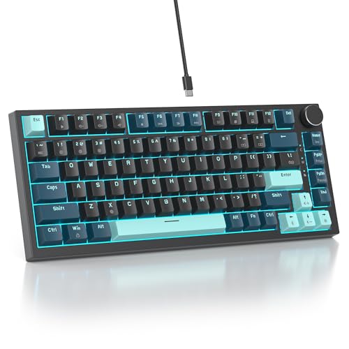 SOLIDEE mechanische Gaming Tastatur 75 Prozent,hot-swap-fähige mechanische Tastatur mit Gasket Struktur,RGB Hintergrundbeleuchtung,82 Tasten TKL Tastatur NKRO Keyboard mit Drehknopf(82 Monstor(B)) von SOLIDEE