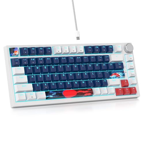 SOLIDEE Verkabelte 75% Mechanische Gaming-Tastatur,hot-swap-fähige Mechanische Tastatur mit Gasket Struktur,RGB-Hintergrundbeleuchtung,82 Tasten Kompakt TKL Tastatur mit Drehknopf(82 White Blue) von SOLIDEE