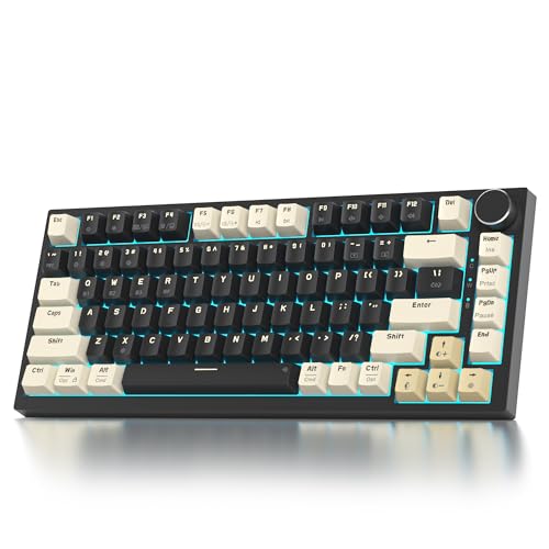 SOLIDEE mechanische Gaming Tastatur 75 Prozent mit Knopf,Bluetooth 5.0/2.4GHz/USB-C,Gasket Mount,hot-swap-fähige mechanische Tastatur mit RGB Hintergrundbeleuchtung,Cream Grey Switch(82 Black) von SOLIDEE