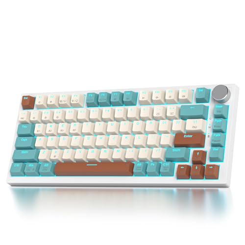 SOLIDEE mechanische Gaming Tastatur 75 Prozent mit Knopf,Bluetooth 5.0/2.4GHz/USB-C,Gasket Mount,hot-swap-fähige mechanische Tastatur mit RGB Hintergrundbeleuchtung,Cream Grey Switch(82 Brown) von SOLIDEE